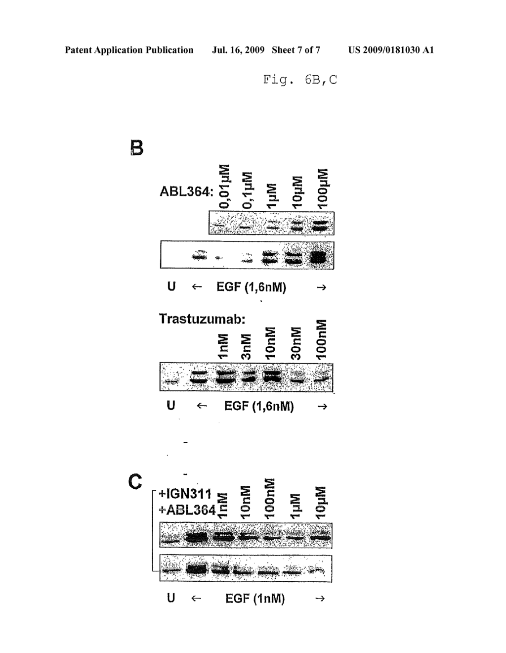 USE OF A PREPARATION BASED ON AN ANTIBODY DIRECTED AGAINST A TUMOR-ASSOCIATED GLYCOSYLATION - diagram, schematic, and image 08