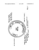 Soluble hyaluronidase glycoprotein (sHASEGP), process for preparing the same, uses and pharmaceutical compositions comprising thereof diagram and image