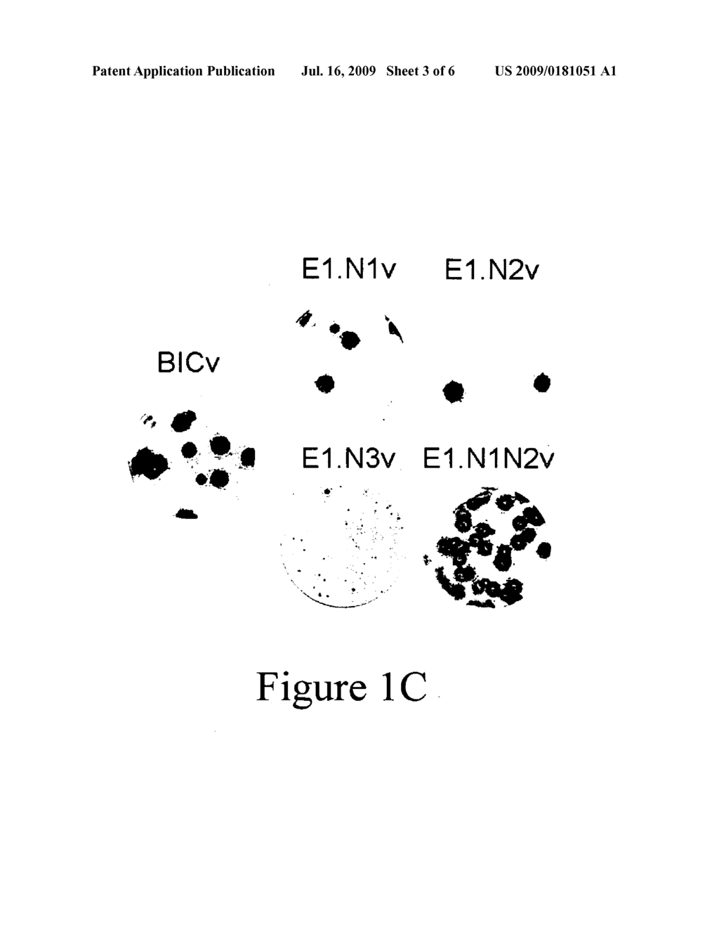 N-linked glycosylation alteration in E1 glycoprotein of classical swine fever virus and novel classical swine fever virus vaccine - diagram, schematic, and image 04