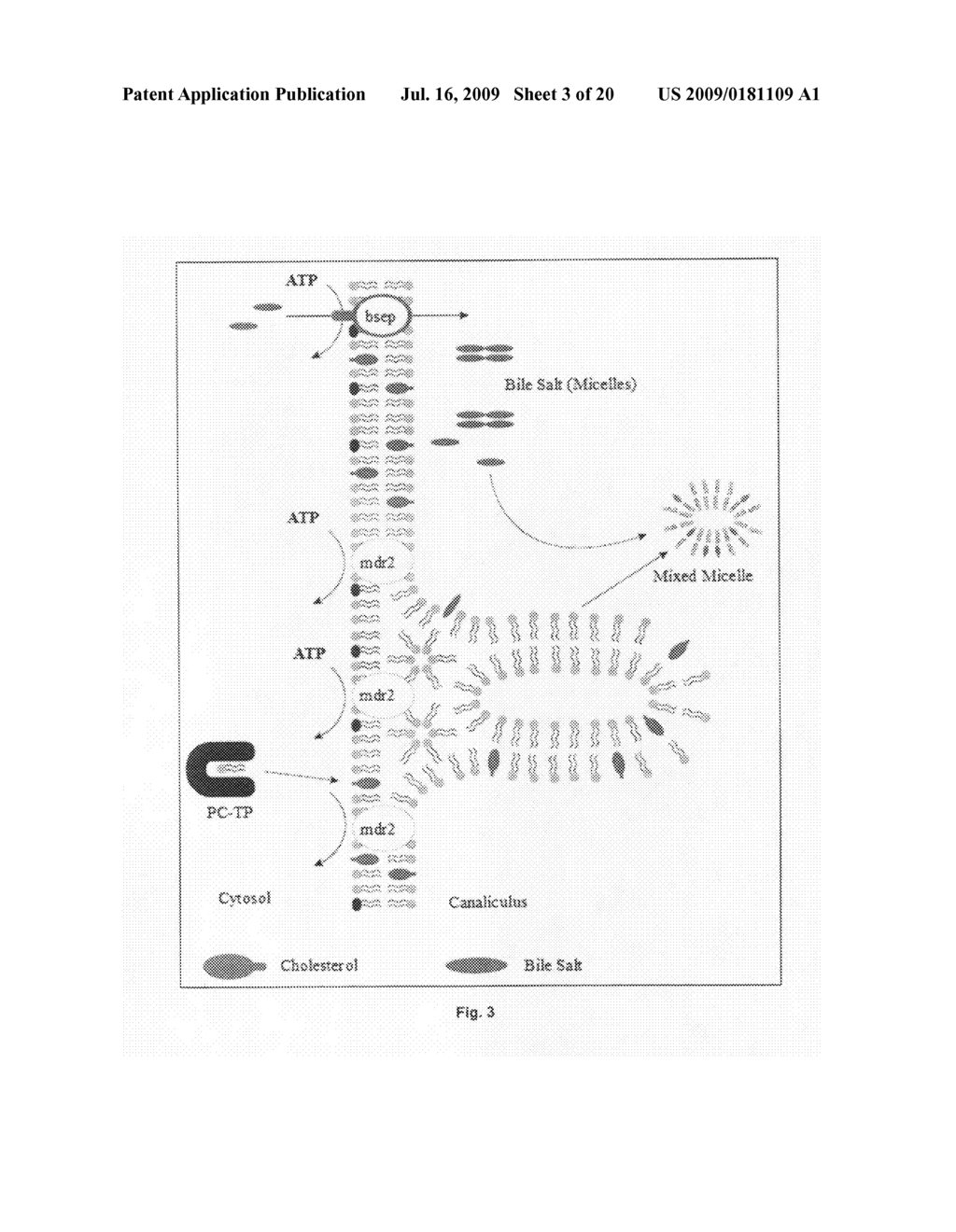 Nanoveson.TM.: treatment, biomarkers and diagnostic tests for liver diseases and comorbid diseases - diagram, schematic, and image 04