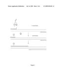 Detection format for hot start real time polymerase chain reaction diagram and image