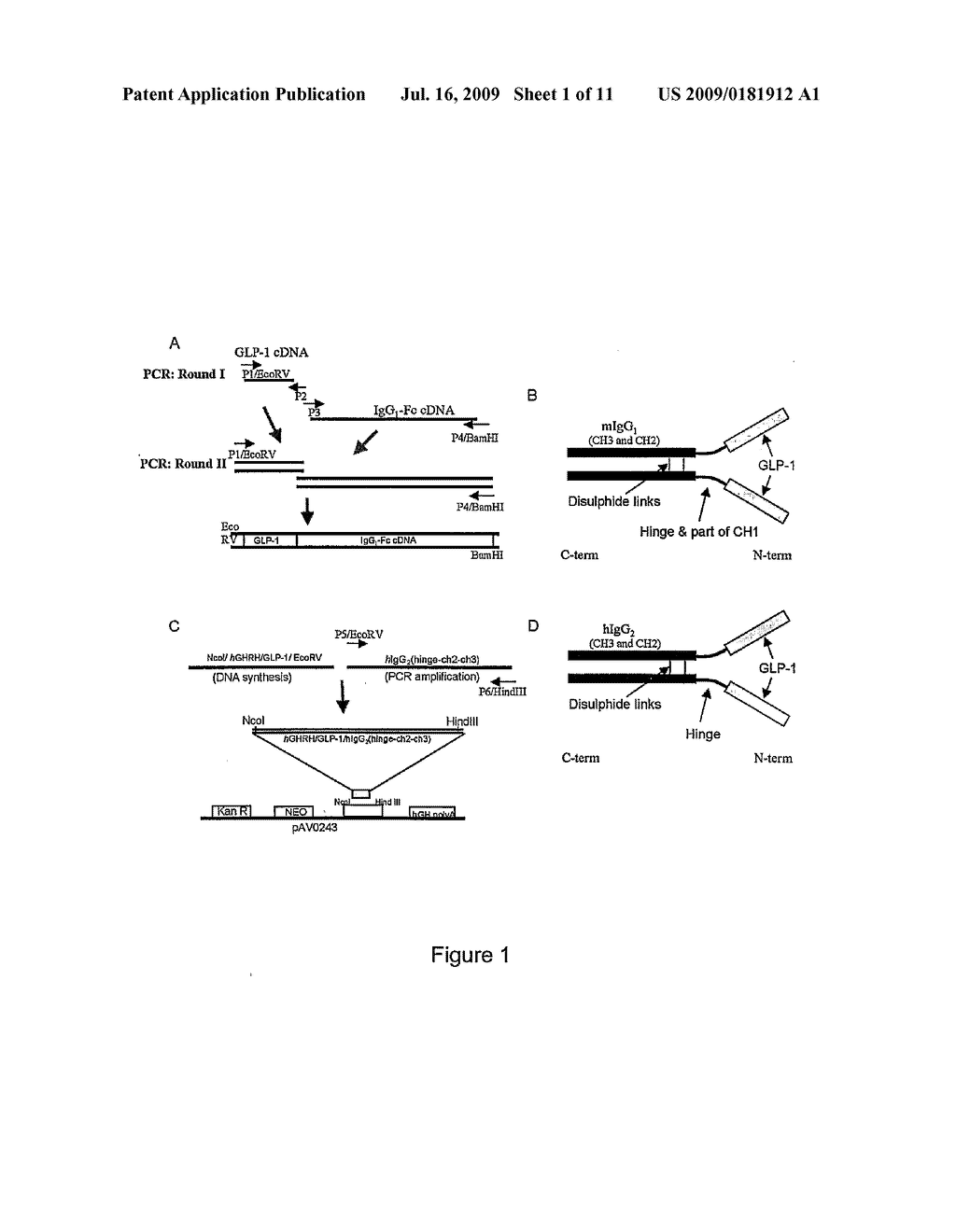 GLP/1/EXENDIN 4 IgG Fc FUSION CONSTRUCTS FOR TREATMENT OF DIABETES - diagram, schematic, and image 02