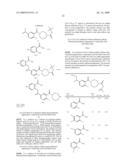 PARP INHIBITORS diagram and image