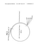 Regulation of Human Transmembrane Serine Protease diagram and image