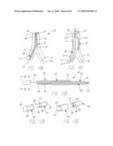 BIFURCATED STENT DELIVERY SYSTEM diagram and image