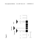 NUCLEOTIDE SEQUENCES MEDIATING MALE FERTILITY AND METHOD OF USING SAME diagram and image