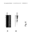 NUCLEOTIDE SEQUENCES MEDIATING MALE FERTILITY AND METHOD OF USING SAME diagram and image