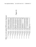 NUCLEOTIDE SEQUENCES MEDIATING MALE FERTILITY AND METHOD OF USING SAME diagram and image