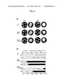 Use of histone chaperone activity of agrobacterium 6b protein diagram and image