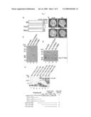 Use of histone chaperone activity of agrobacterium 6b protein diagram and image