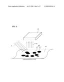 METHOD OF INSPECTING FOOD AND INSPECTION APPARATUS IMPLEMENTING THE SAME diagram and image