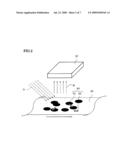 METHOD OF INSPECTING FOOD AND INSPECTION APPARATUS IMPLEMENTING THE SAME diagram and image