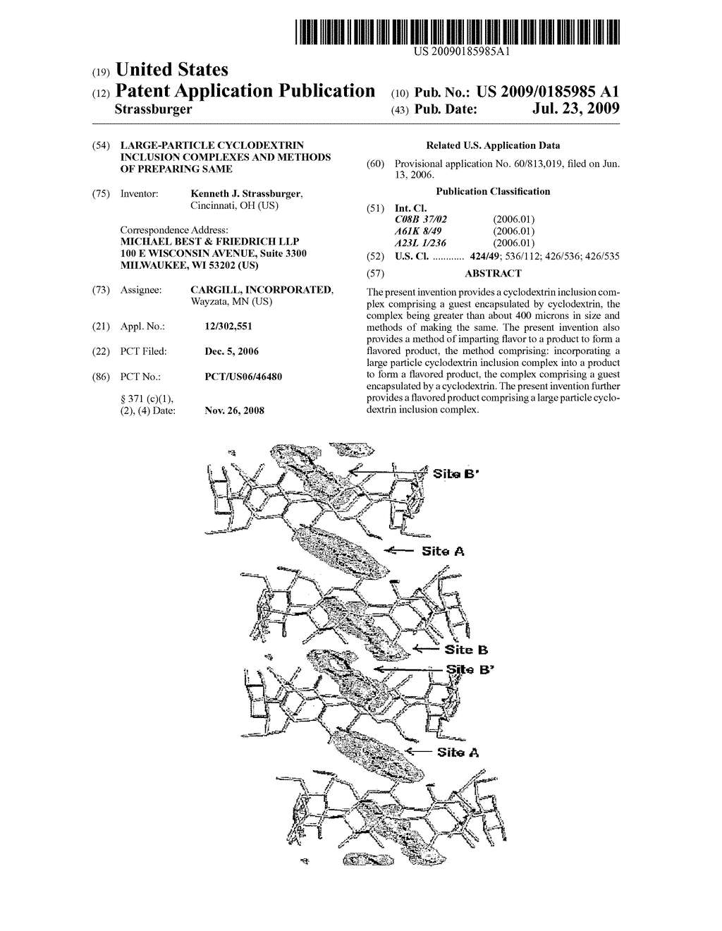 LARGE-PARTICLE CYCLODEXTRIN INCLUSION COMPLEXES AND METHODS OF PREPARING SAME - diagram, schematic, and image 01