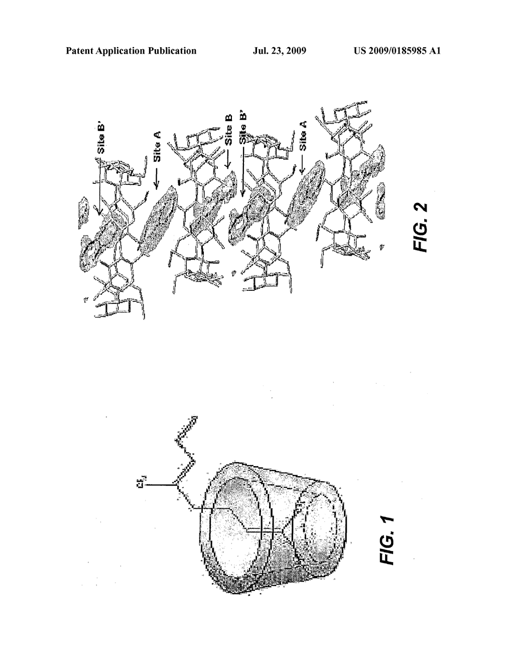 LARGE-PARTICLE CYCLODEXTRIN INCLUSION COMPLEXES AND METHODS OF PREPARING SAME - diagram, schematic, and image 02