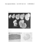 Method For Preparing An Organ For Transplantation diagram and image