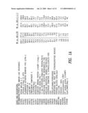 METHODS FOR THE IDENTIFICATION OF IKKALFA FUNCTION AND OTHER GENES USEFUL FOR TREATMENT OF INFLAMMATORY DISEASES diagram and image