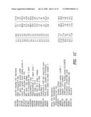 METHODS FOR THE IDENTIFICATION OF IKKALFA FUNCTION AND OTHER GENES USEFUL FOR TREATMENT OF INFLAMMATORY DISEASES diagram and image