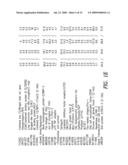 METHODS FOR THE IDENTIFICATION OF IKKALFA FUNCTION AND OTHER GENES USEFUL FOR TREATMENT OF INFLAMMATORY DISEASES diagram and image