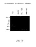 METHODS FOR THE IDENTIFICATION OF IKKALFA FUNCTION AND OTHER GENES USEFUL FOR TREATMENT OF INFLAMMATORY DISEASES diagram and image