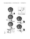 Design of Delivery Vehicle Based On Rolling Model diagram and image