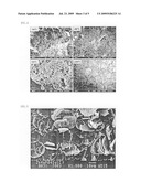 Flaky Alpha-Alumina Crystal and a Method of Its Preparation diagram and image