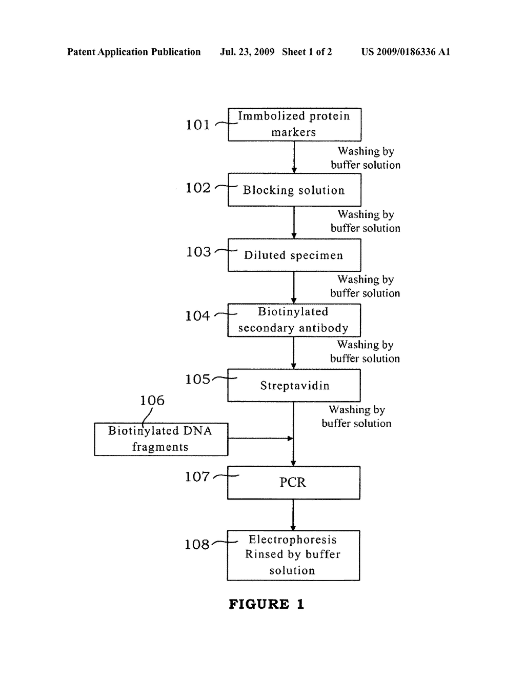 Immuno-PCR method for detecting nasopharyngeal carcinoma markers and kit thereof - diagram, schematic, and image 02