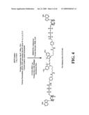 METHODS FOR PREPARING MODIFIED BIOMOLECULES, MODIFIED BIOMOLECULES AND METHODS FOR USING SAME diagram and image