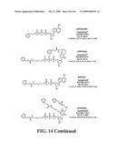 METHODS FOR PREPARING MODIFIED BIOMOLECULES, MODIFIED BIOMOLECULES AND METHODS FOR USING SAME diagram and image