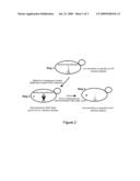 METHODS AND TOOLS FOR THE SCREENING OF FACTORS AFFECTING PROTEIN MISFOLDING diagram and image