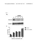 Use of 14-3-3- Proteins in Treatment and Prevention of Neurodegeneration diagram and image