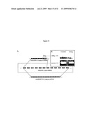 sVEGFR-2 AND ITS ROLE IN LYMPHANGIOGENESIS MODULATION diagram and image