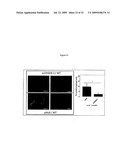 sVEGFR-2 AND ITS ROLE IN LYMPHANGIOGENESIS MODULATION diagram and image