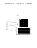 sVEGFR-2 AND ITS ROLE IN LYMPHANGIOGENESIS MODULATION diagram and image