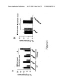 sVEGFR-2 AND ITS ROLE IN LYMPHANGIOGENESIS MODULATION diagram and image