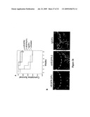 sVEGFR-2 AND ITS ROLE IN LYMPHANGIOGENESIS MODULATION diagram and image