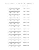 SPECIFIC INHIBITORS OF NFAT ACTIVATION BY CALCINEURIN AND THEIR USE IN TREATING IMMUNE-RELATED DISEASES diagram and image