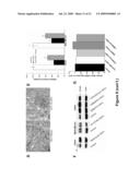 Methods of Inhibiting Tumor Cell Aggressiveness Using The Microenvironment of Human Embryonic Stem Cells diagram and image