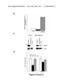 Methods of Inhibiting Tumor Cell Aggressiveness Using The Microenvironment of Human Embryonic Stem Cells diagram and image