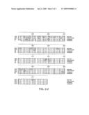 Truncated Activin Type II Receptor and Methods of Use diagram and image