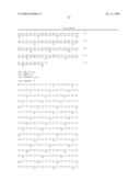 Truncated Activin Type II Receptor and Methods of Use diagram and image