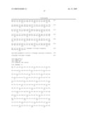 Truncated Activin Type II Receptor and Methods of Use diagram and image