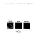 Apo-2 ligand diagram and image