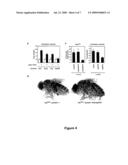 IDENTIFICATION OF JAK/STAT PATHWAY MODULATING GENES BY GENOME WIDE RNAI SCREENING diagram and image