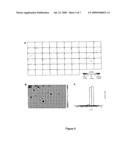 IDENTIFICATION OF JAK/STAT PATHWAY MODULATING GENES BY GENOME WIDE RNAI SCREENING diagram and image