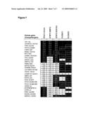 IDENTIFICATION OF JAK/STAT PATHWAY MODULATING GENES BY GENOME WIDE RNAI SCREENING diagram and image