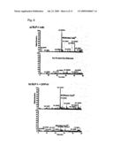 PEPTIDE-PEPTIDASE INHIBITOR CONJUGATES AND METHODS OF USING SAME diagram and image