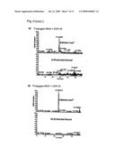 PEPTIDE-PEPTIDASE INHIBITOR CONJUGATES AND METHODS OF USING SAME diagram and image