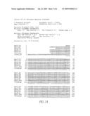 STREPTOCOCCUS PYOGENES POLYPEPTIDES AND CORRESPONDING DNA FRAGMENTS diagram and image