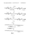 Thrombopoietic Compounds diagram and image