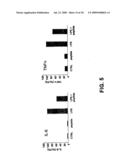 NOVEL PEPTIDES FOR TREATING AND PREVENTING IMMUNE-RELATED DISORDERS, INCLUDING TREATING AND PREVENTING INFECTION BY MODULATING INNATE IMMUNITY diagram and image